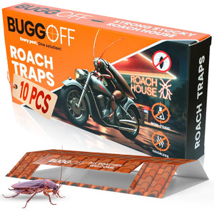 Why Your Roach House Trap Isn't Working