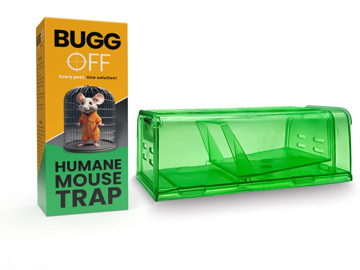 Humane Mouse & Rat Trap, Green Transparent Plastic, Catch and Release Design, Ventilated Live Capture Box