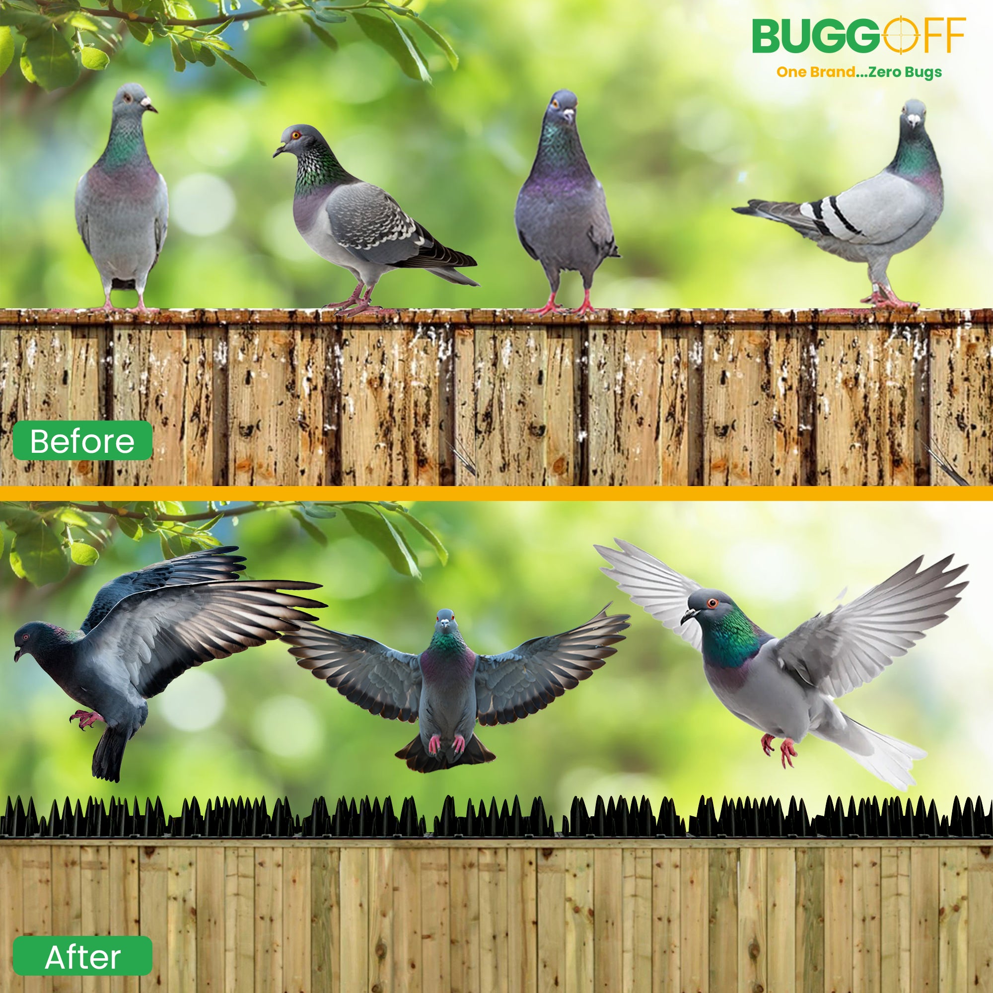 Unique Pattern Plastic Bird & Rodent Deterrent Spikes, Humane & effective!
