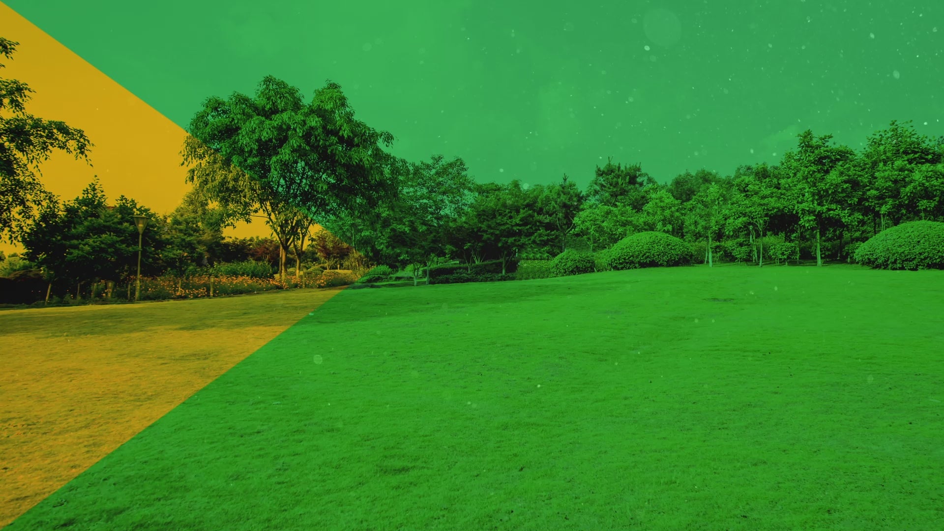 Unique Pattern Plastic Bird & Rodent Deterrent Spikes, Humane & effective!